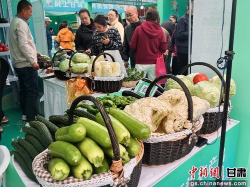 暮秋蘭州甘味濃，張掖有機農產品展銷會圈粉金城苗木