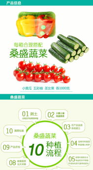 桑盛蔬菜特惠套餐 壽光特產，綠色健康的家庭餐桌新選擇